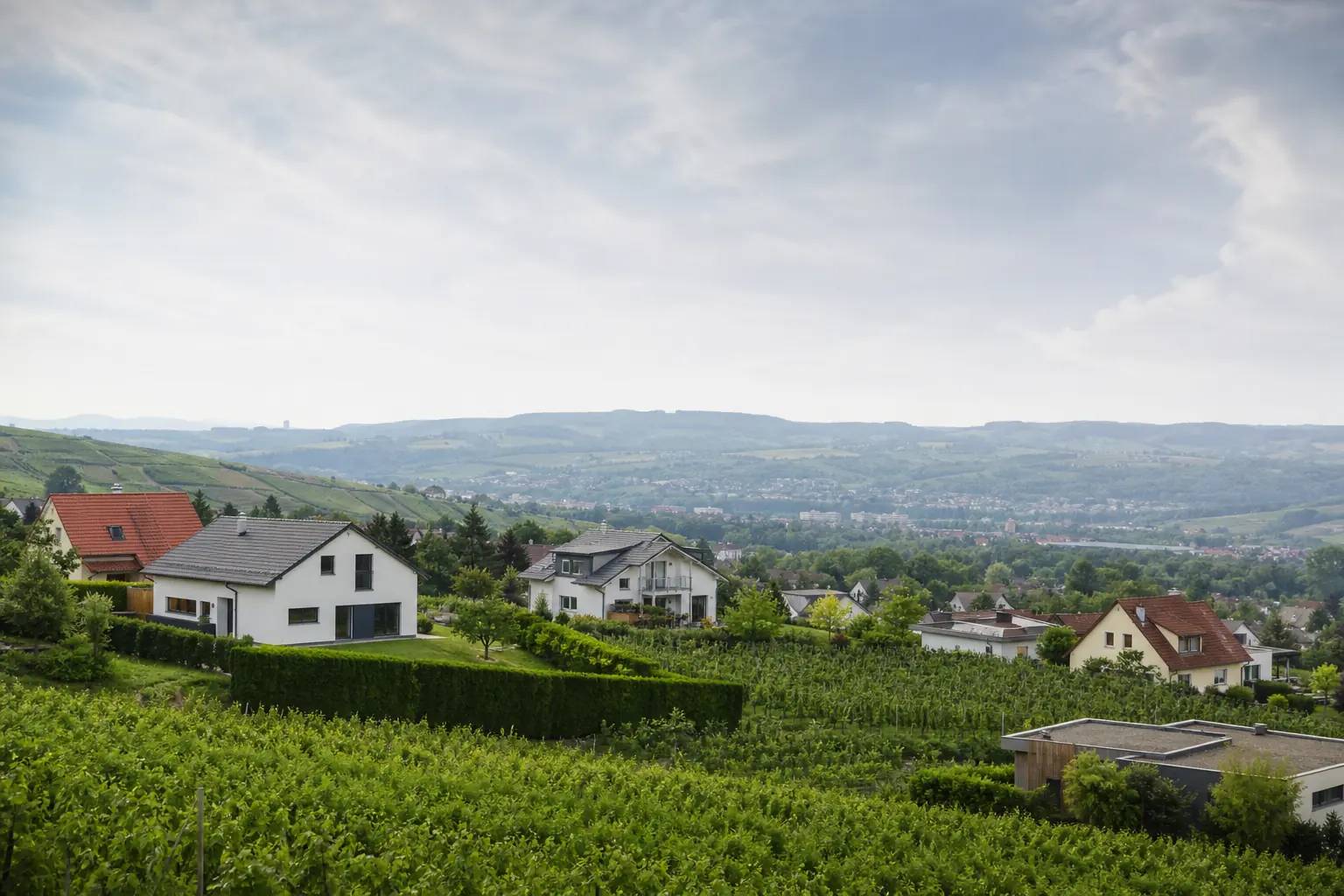 Wohnhäuser vor sanften Weinbergen und Hügeln in Baden-Württemberg