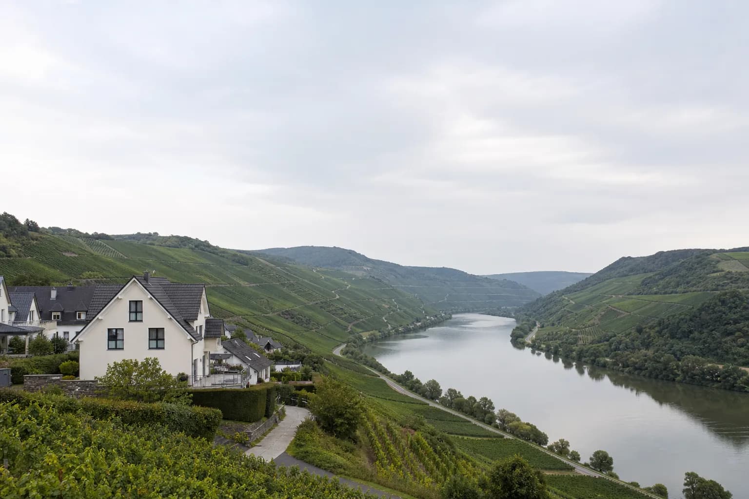 Wohnhäuser über einem Flusstal mit Weinbergen in Rheinland-Pfalz